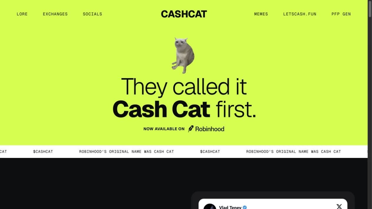 CashCat reference website: character, origin-led headline and navigation