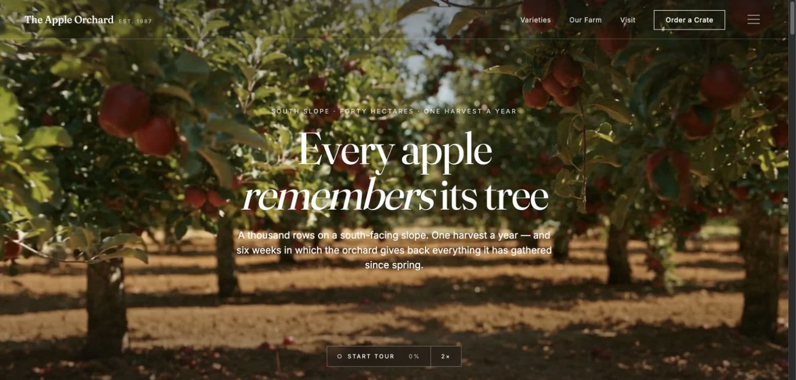 The Apple Orchard, a self-initiated editorial website